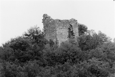 Torre il Roccone